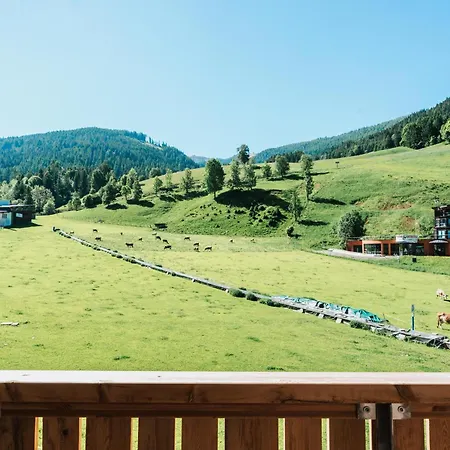 Cooee Alpin ホテル 4*